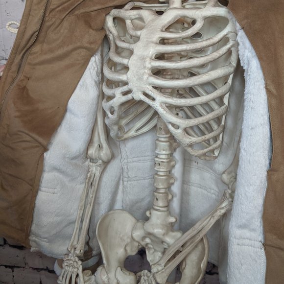 Anthropologie IDRA FauxShearling Coat - Picture 7 of 9